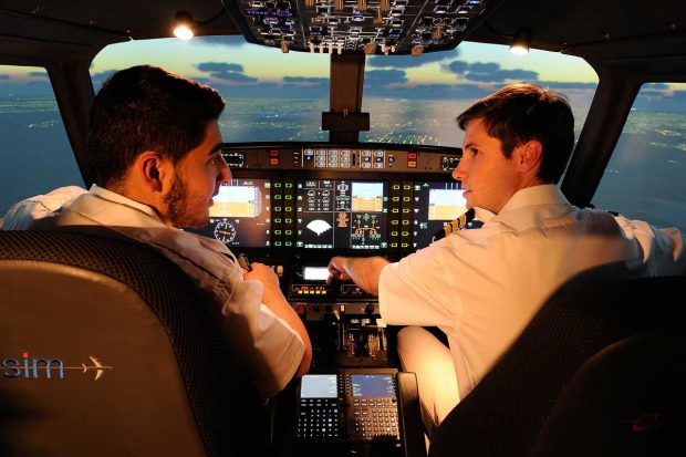 Alsim ALX flight simulator