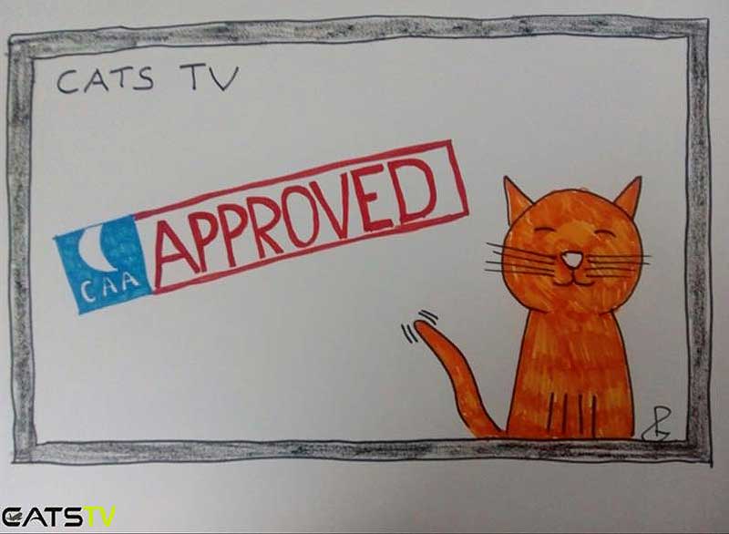 CATS TV